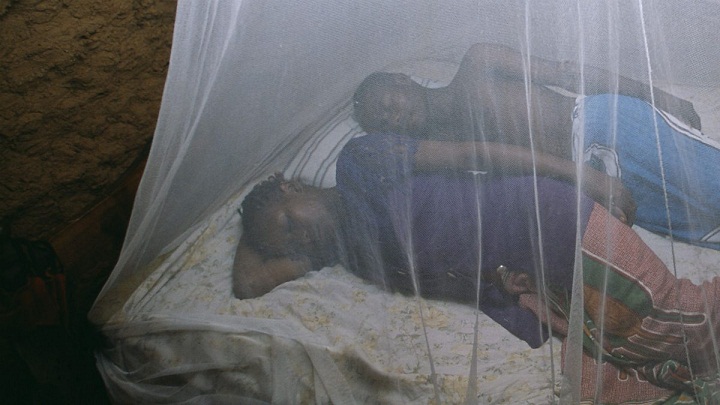 Malaria Fight Stalls as 44% of Households Lack Sufficient Mosquito Nets – UBOS Report