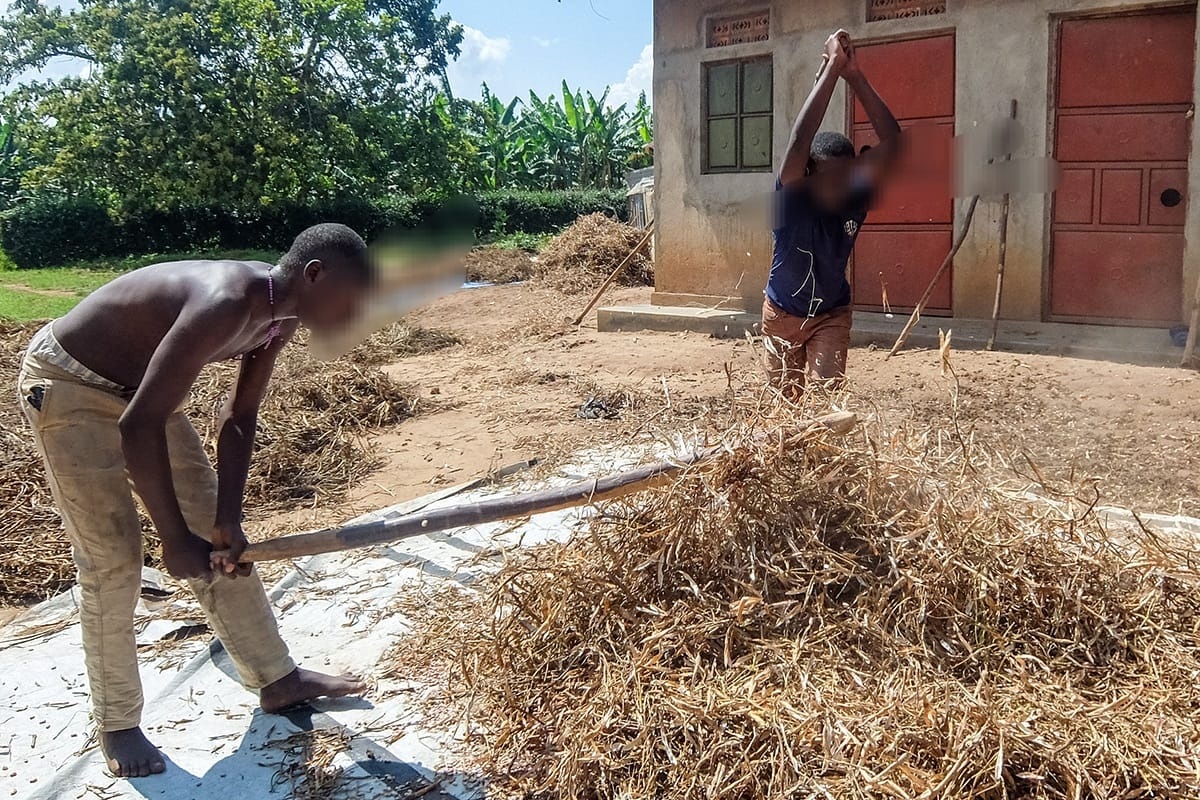 WHERE ARE THE FATHERS? UBOS Report Exposes Shocking Death Trend As Millions Of Ugandan Children Left Without Dads