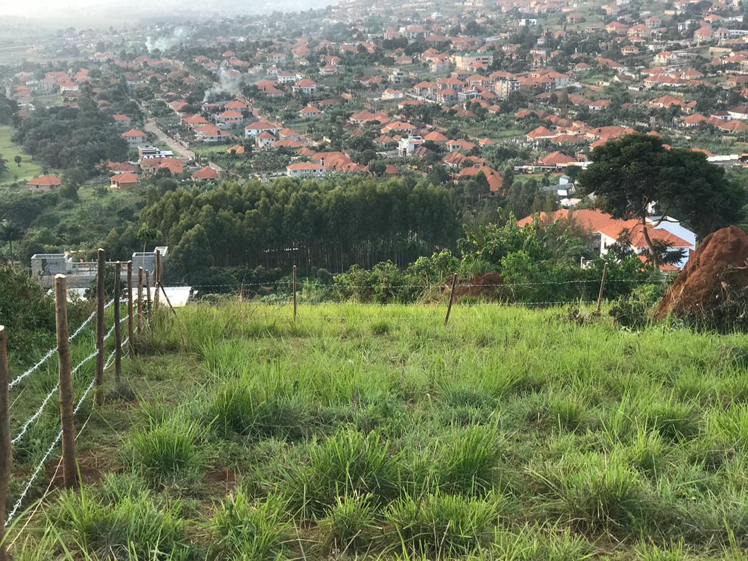 Bwebajja Hilltop Plot with Panoramic Lake Victoria Views Hits the Market – A Rare Investment Opportunity