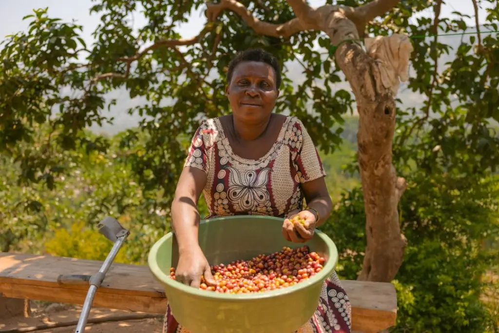 How Ugandan Communities Are Turning Trees into Livelihoods